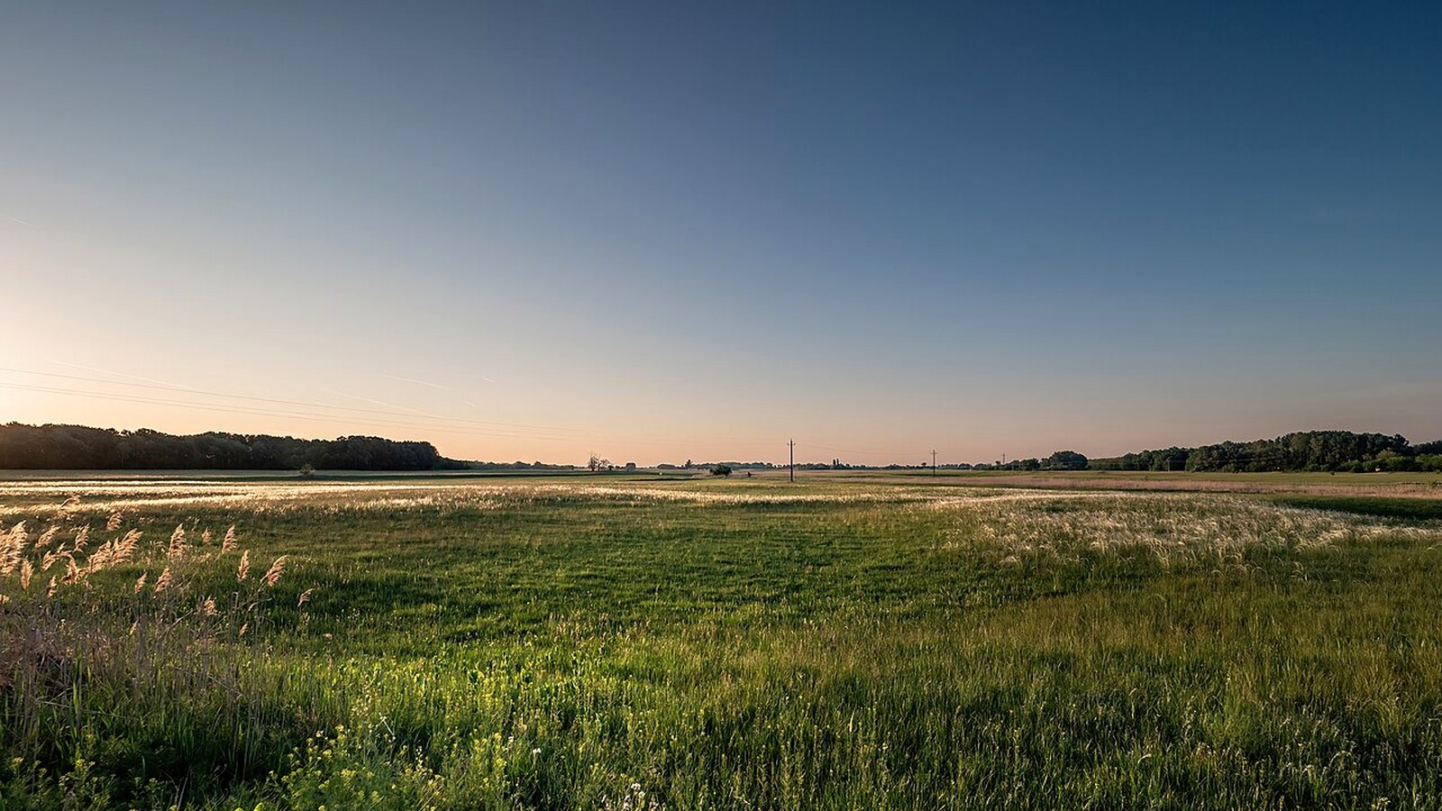 Ásotthalom Csodarét / Ásotthalmi-láprét tanösvénye — szabadon bejárható knp.hu természetvédelmi sétaút kiegészítés (~4 km, 10 tábla).