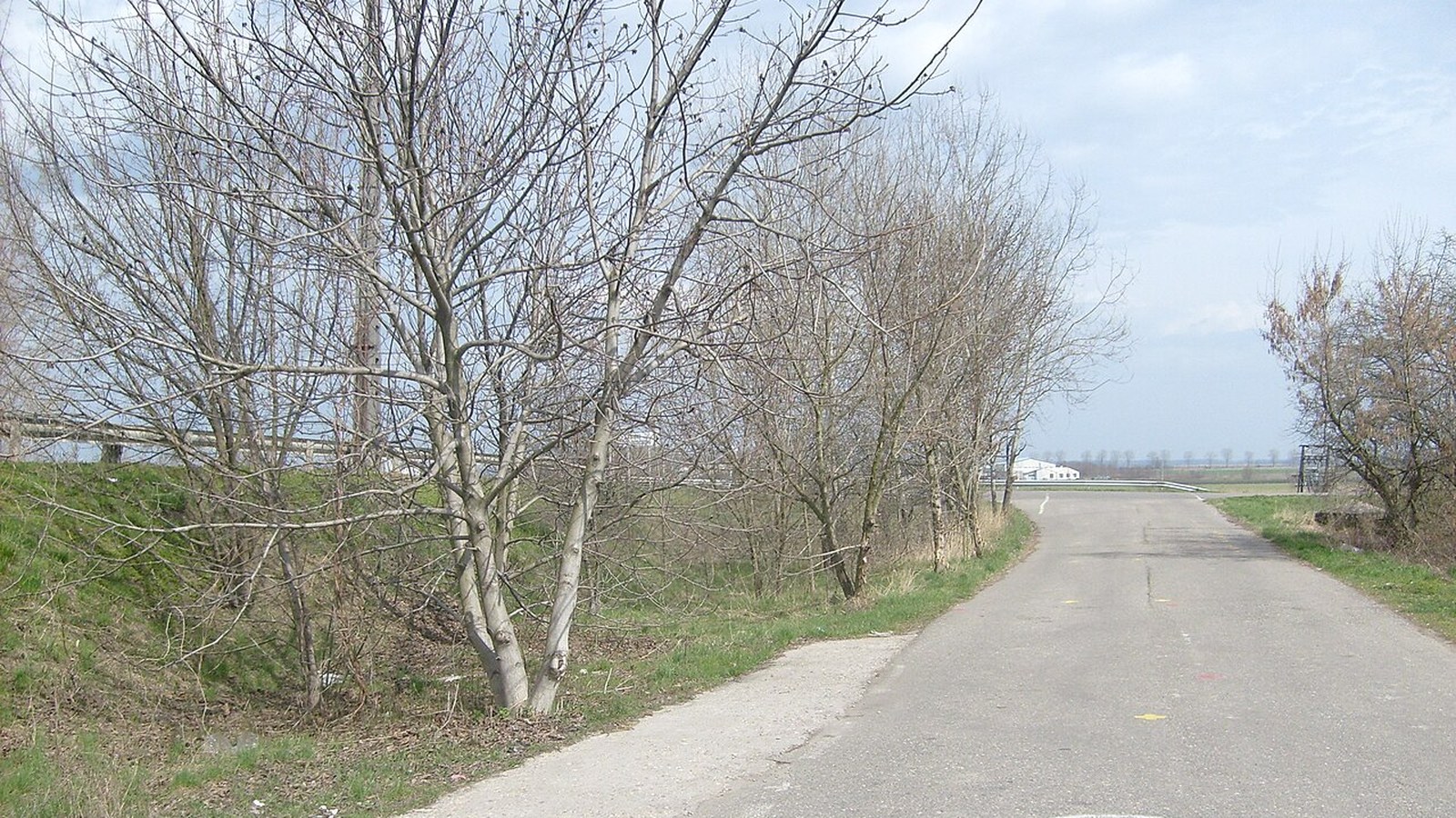 Békés, keskeny aszfaltút kopasz fák és füves sáv között, felhős kék ég alatt.