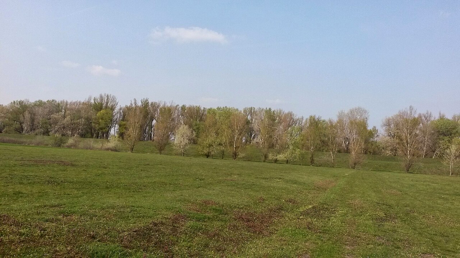 Gyomaendrőd, zöld rét és fasor a Körös mentén, kék ég alatt.