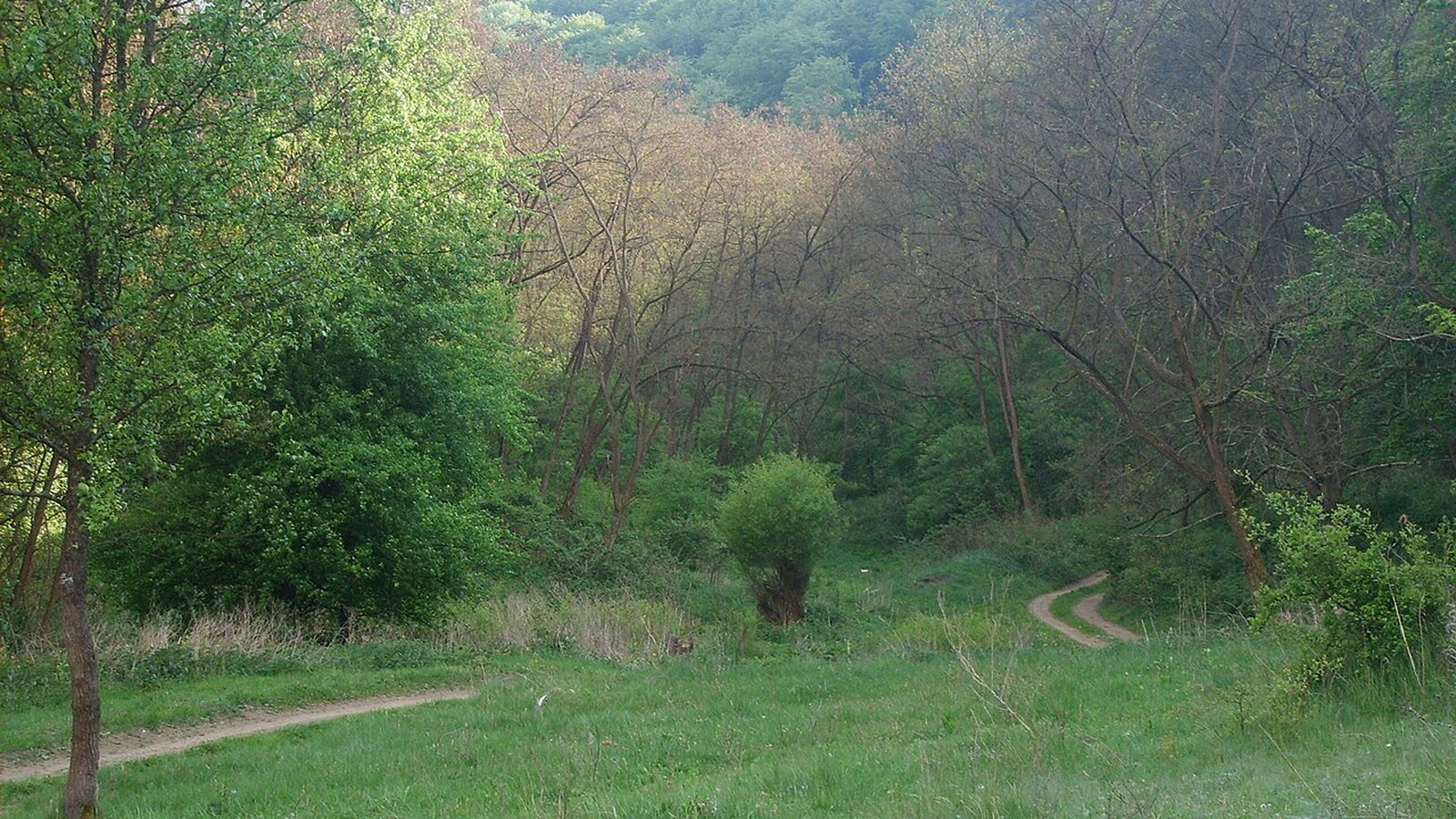 Hangonyi-tó / István-forrás tájképi kiegészítése — szabadon bejárható (kalandpark nem 0 Ft).