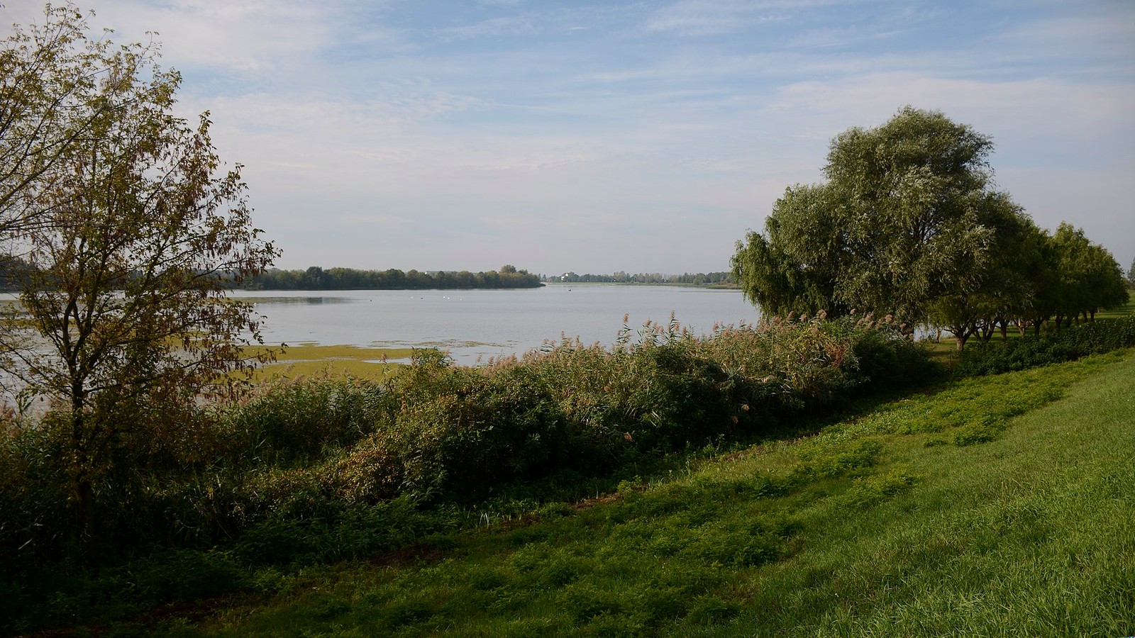 Kisköre, Tisza-tavi öböl füves parttal és fákkal.