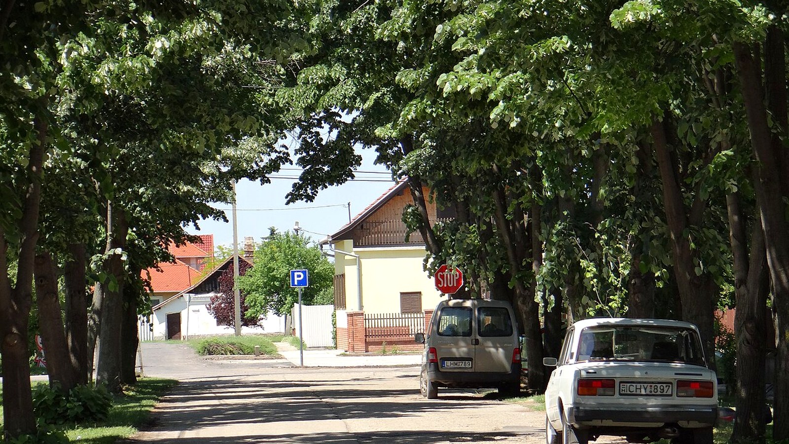 Mezőkovácsháza, fasoros utca lombos fákkal, parkoló autókkal és földszintes házakkal.