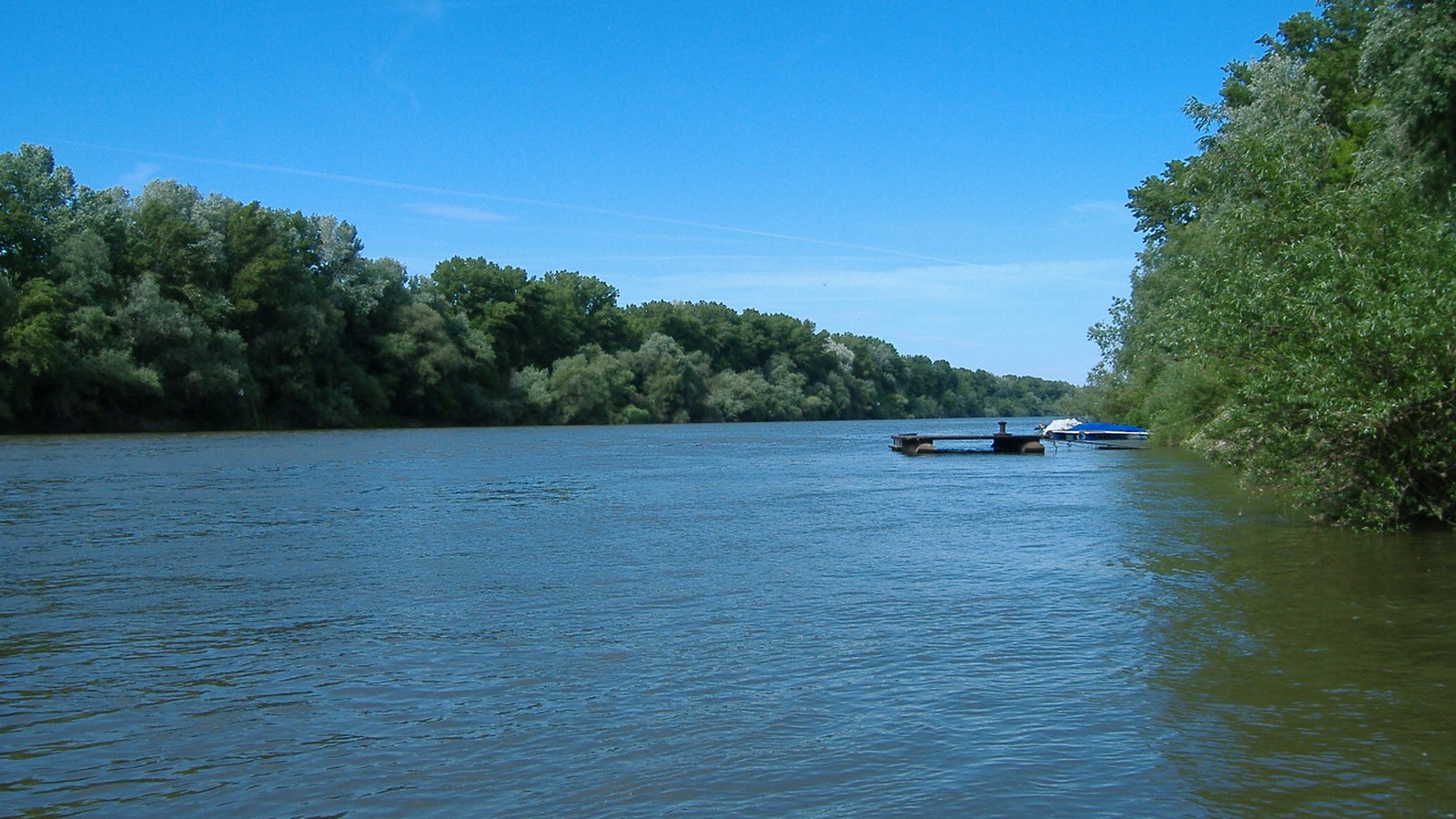 Tiszapüspöki, a Tisza széles folyószakasza fás ártéri parttal, kék ég alatt.