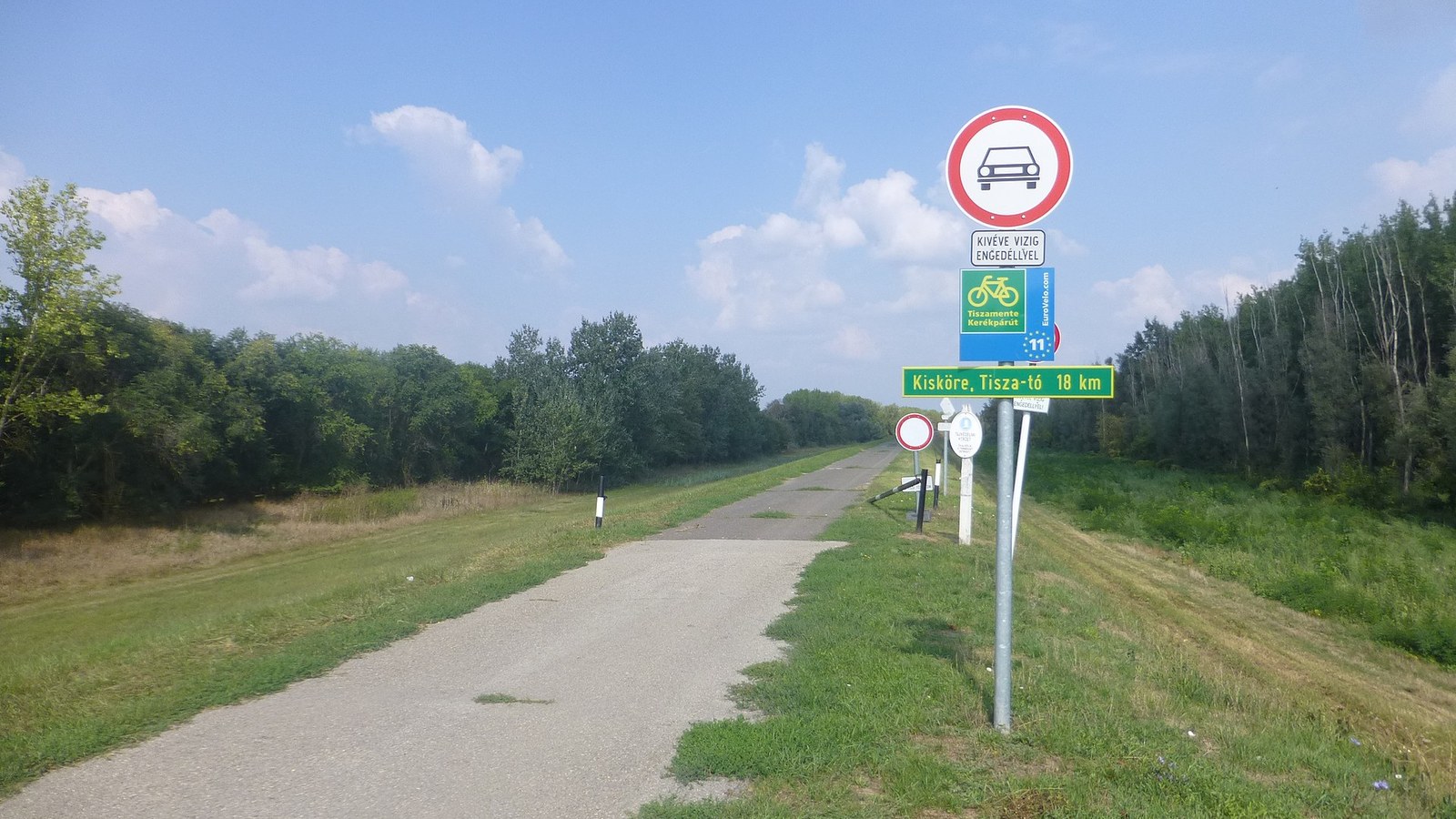 Tiszasüly, a Tisza menti kerékpárút (EuroVelo 11) fasorok között, Kisköre felé.