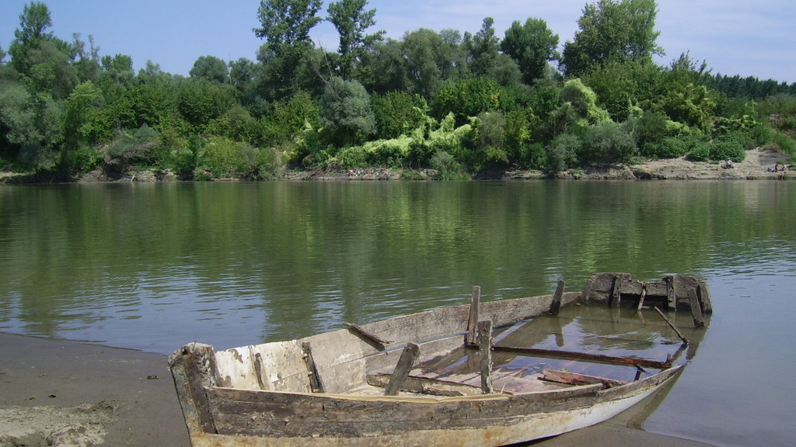 Tiszavárkony, régi fa ladik a Tisza partján, a túlparton ártéri erdővel.