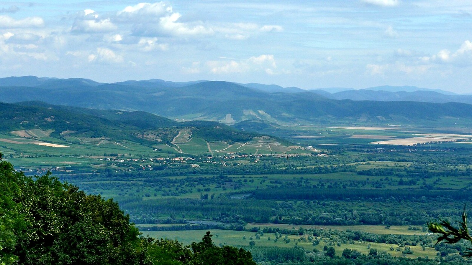 Tokaj Kopasz-hegyi szabadtéri panorámája — túraúton szabadon megközelíthető hegyaljai kilátás (Tokaji Múzeum / Bormúzeum / borkóstoló / sétahajó nem 0 Ft).